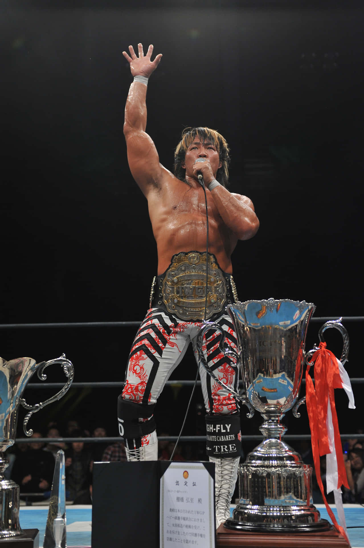 Hiroshi Tanahashi Iwgp Heavyweight Champion