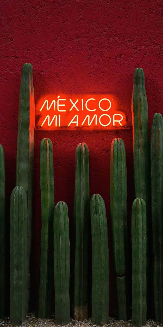 Hispanic Mexico Mi Amor Sign Background