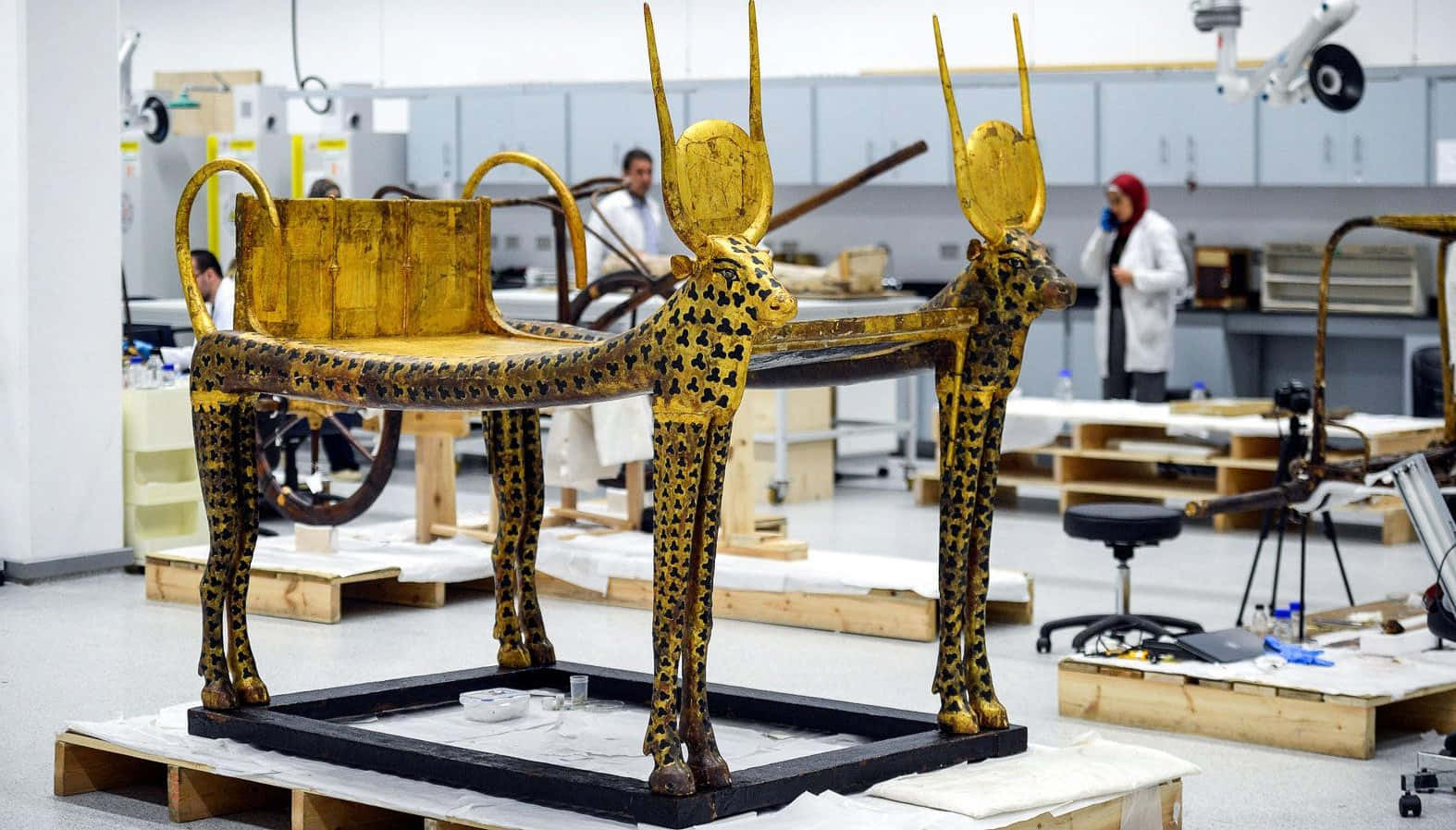 Historical Displays Inside Grand Egyptian Museum Background