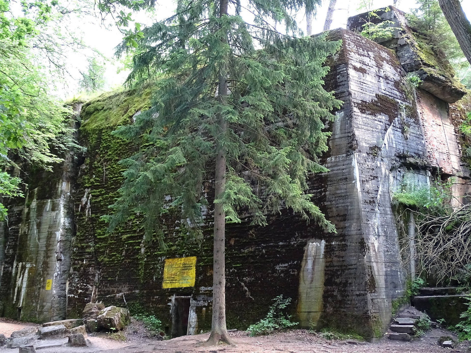 Historical Ruins Of Wolf's Lair In Poland Background
