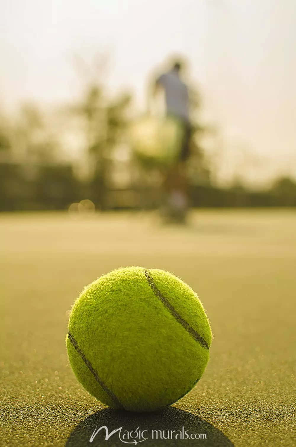 Hit The Tennis Ball Back To Win! Background