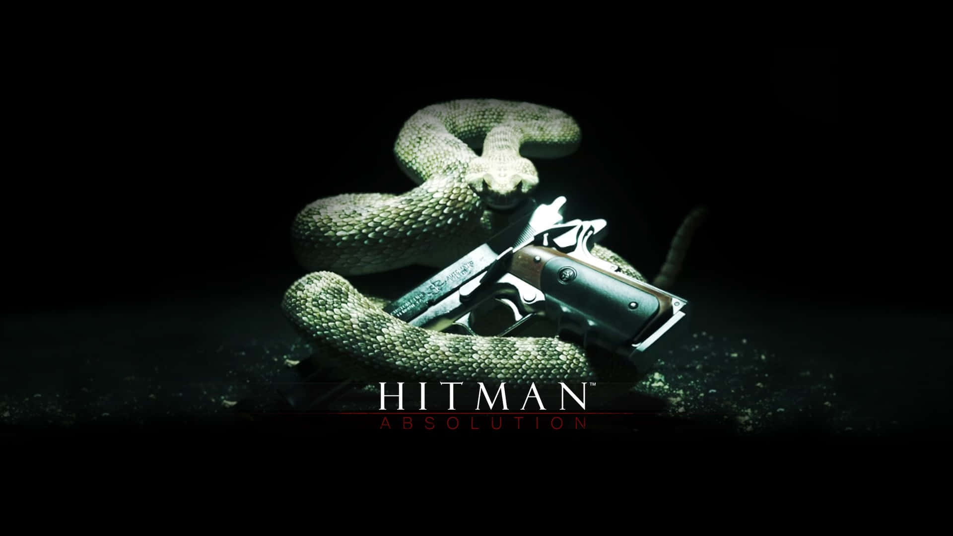 Hitman - Retribution Hd Wallpapers Background