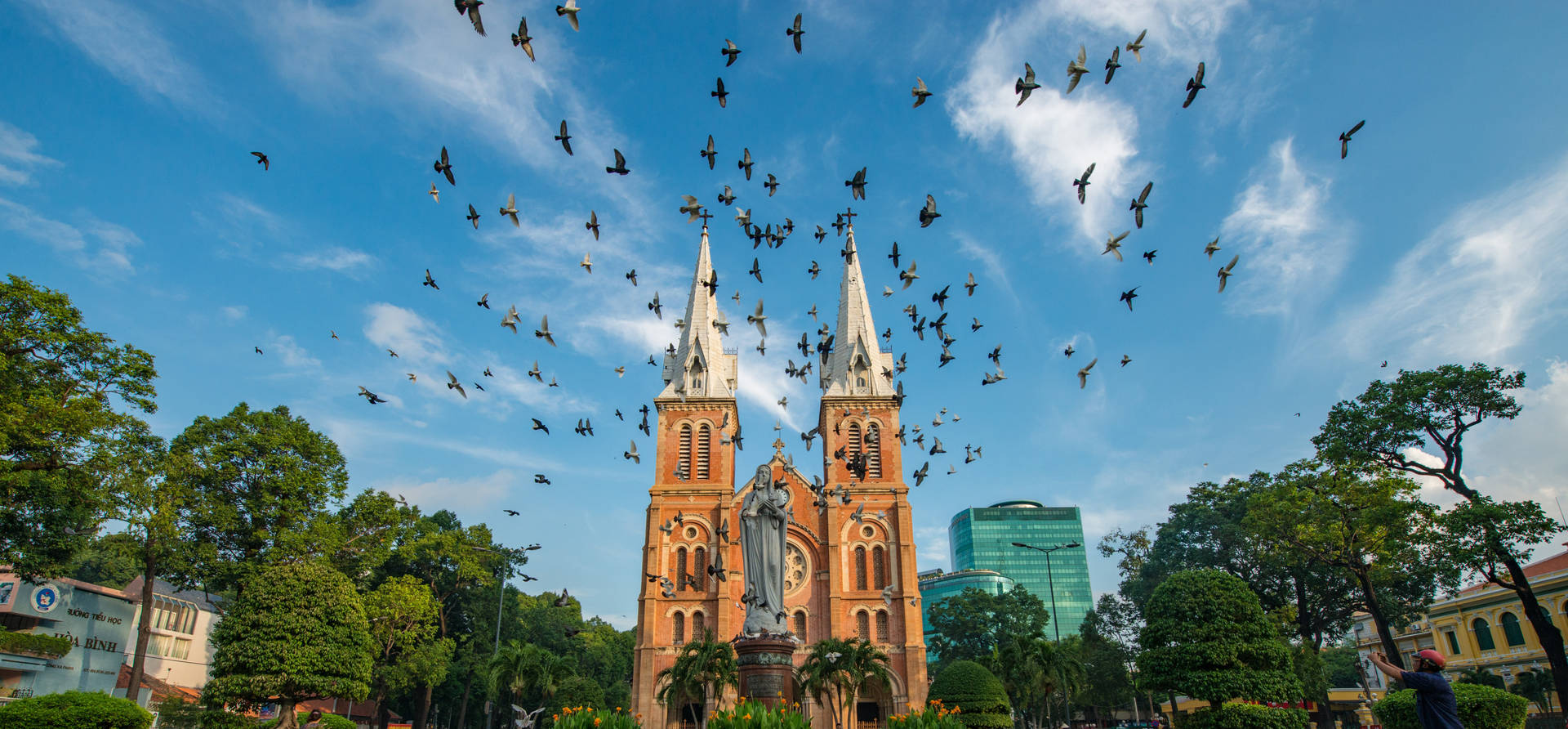 Ho Chi Minh City Flying Birds