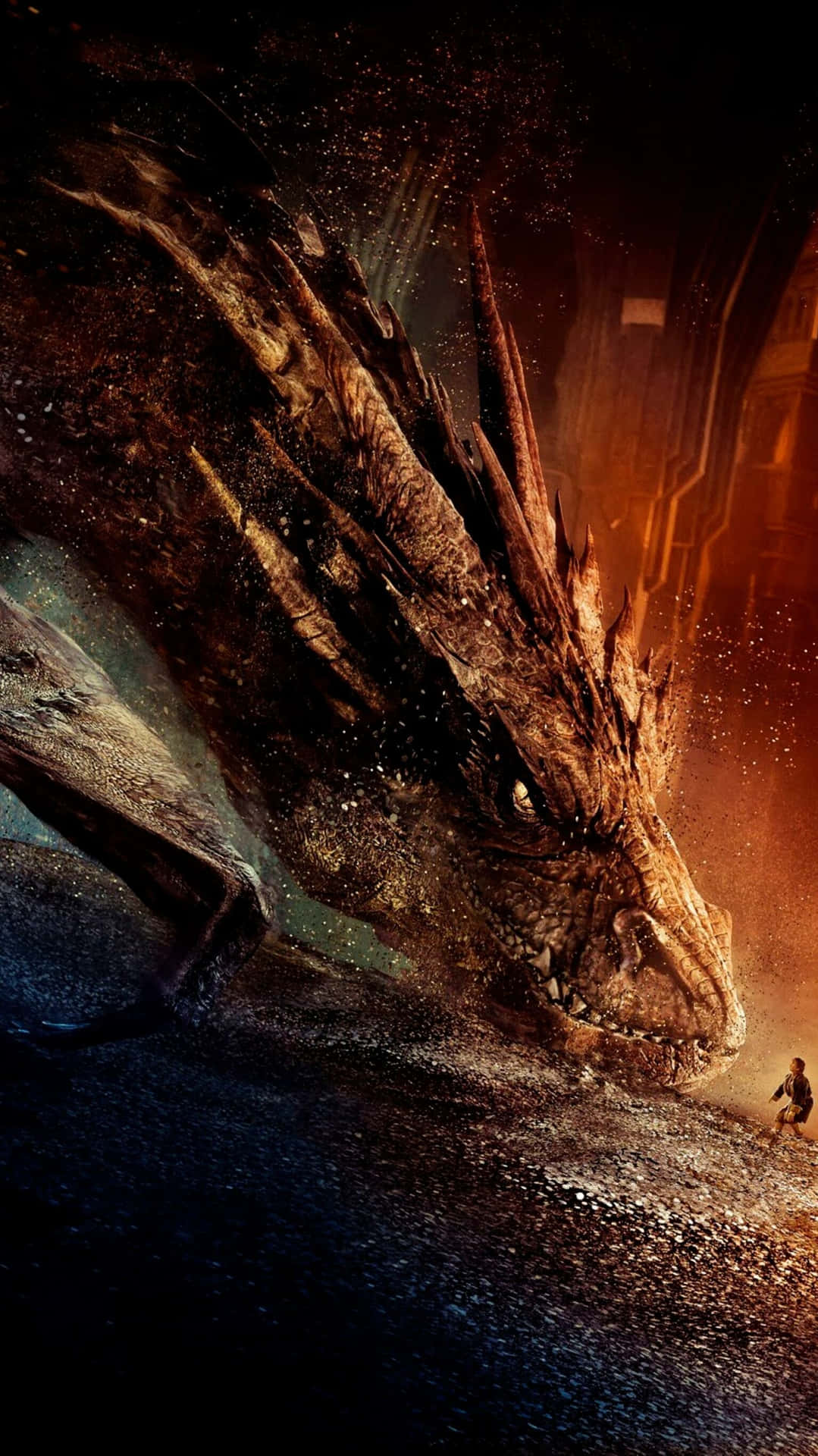 Hobbit Facing Dragon Background