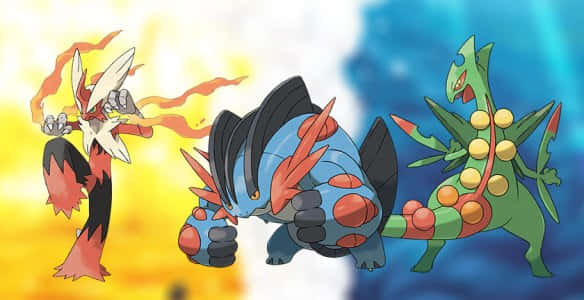 Hoenn Region Starters Evolution