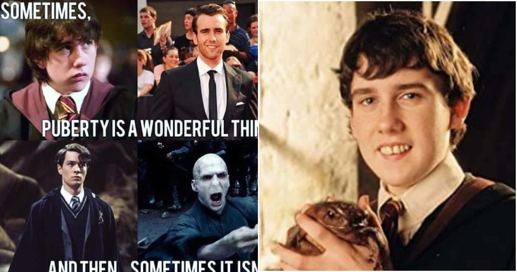 Hogwarts, Harry Potter And The Student Struggle Background