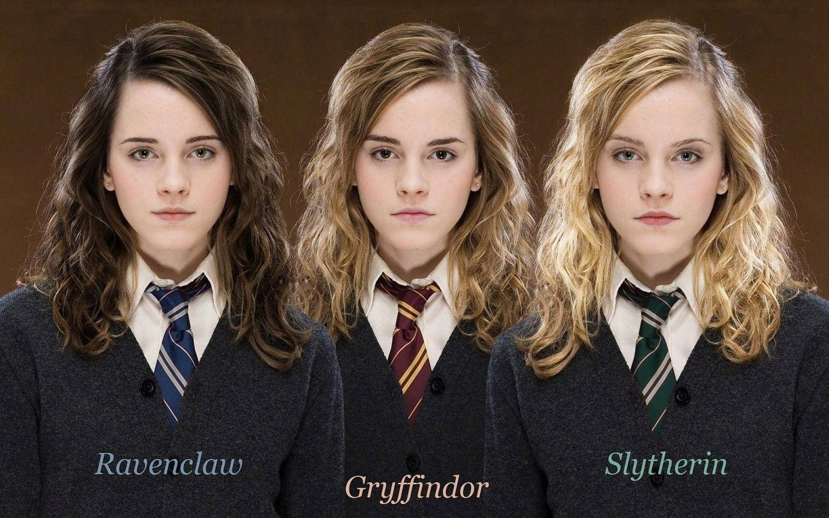Hogwarts House Uniforms Background