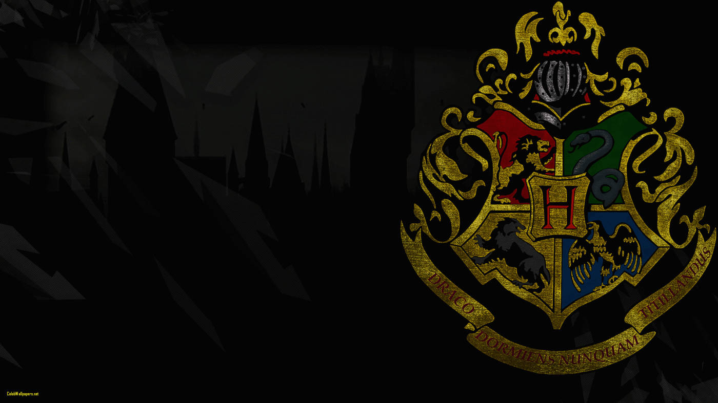 Hogwarts Houses With Campus Silhouette Harry Potter Ipad Background