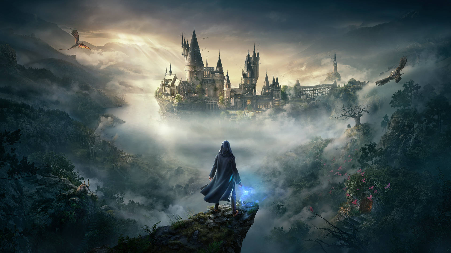 Hogwarts Legacy 1080p Gaming Background