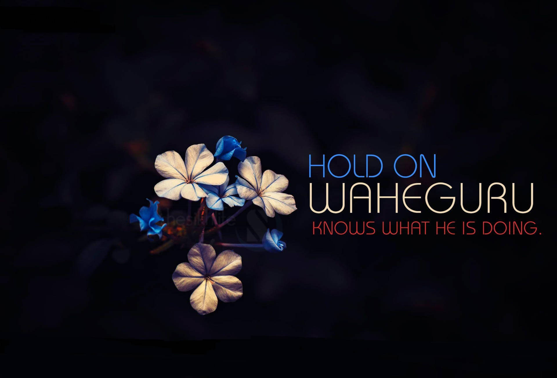 Hold On Waheguru Quote Flower Background