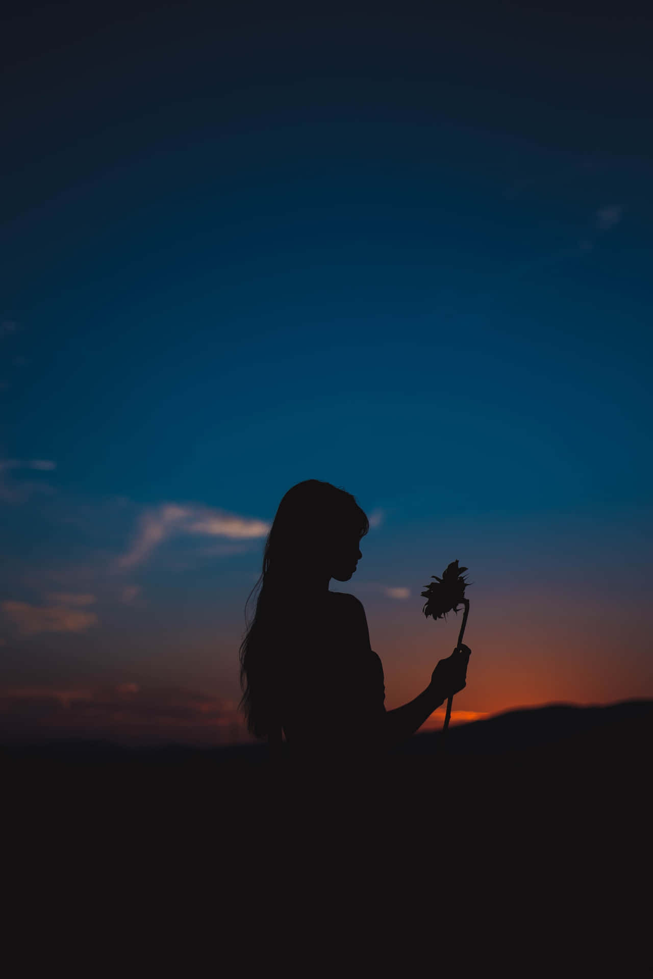 Holding A Flower For Girls Background