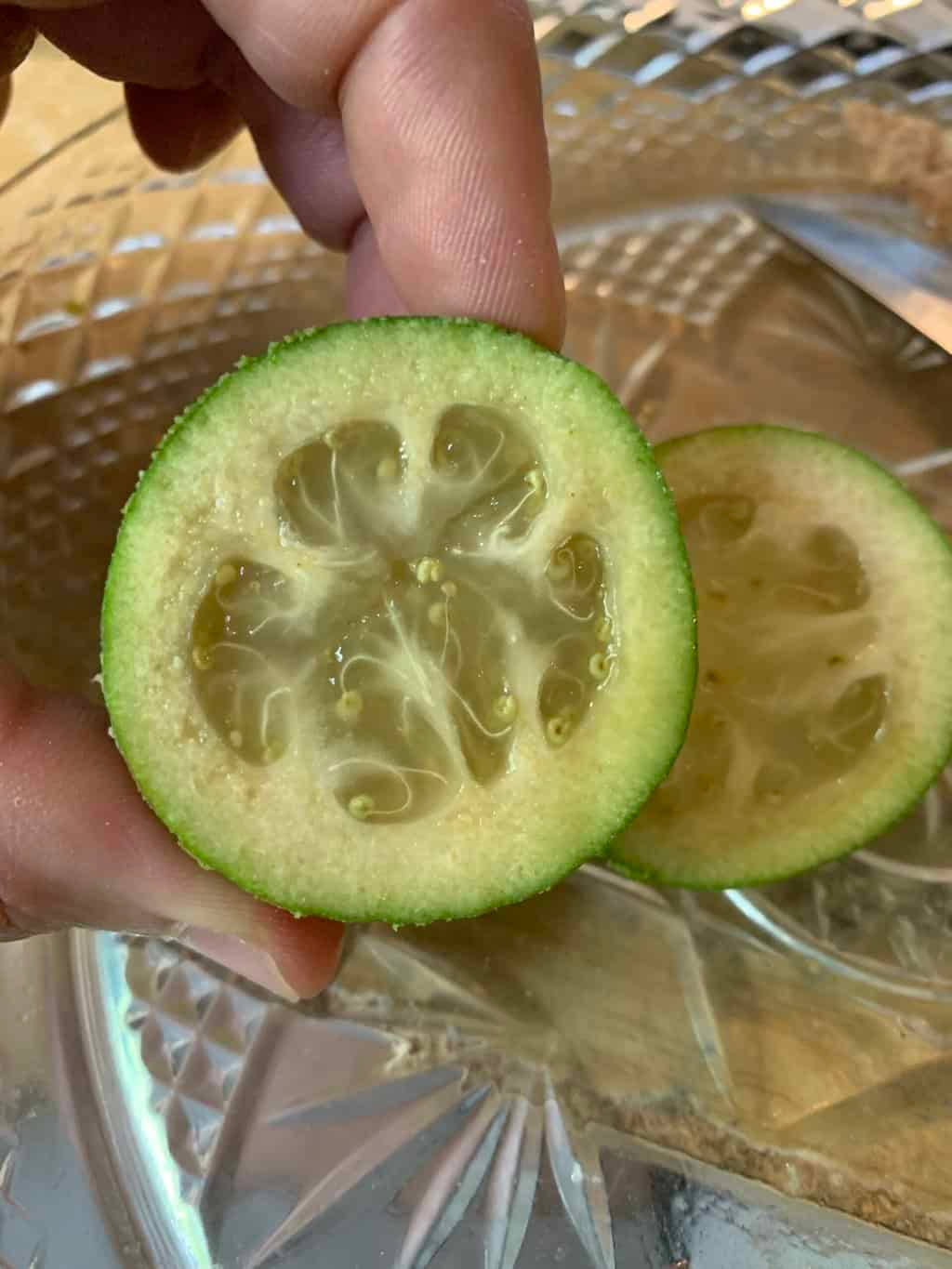 Holding A Slice Of Feijoa