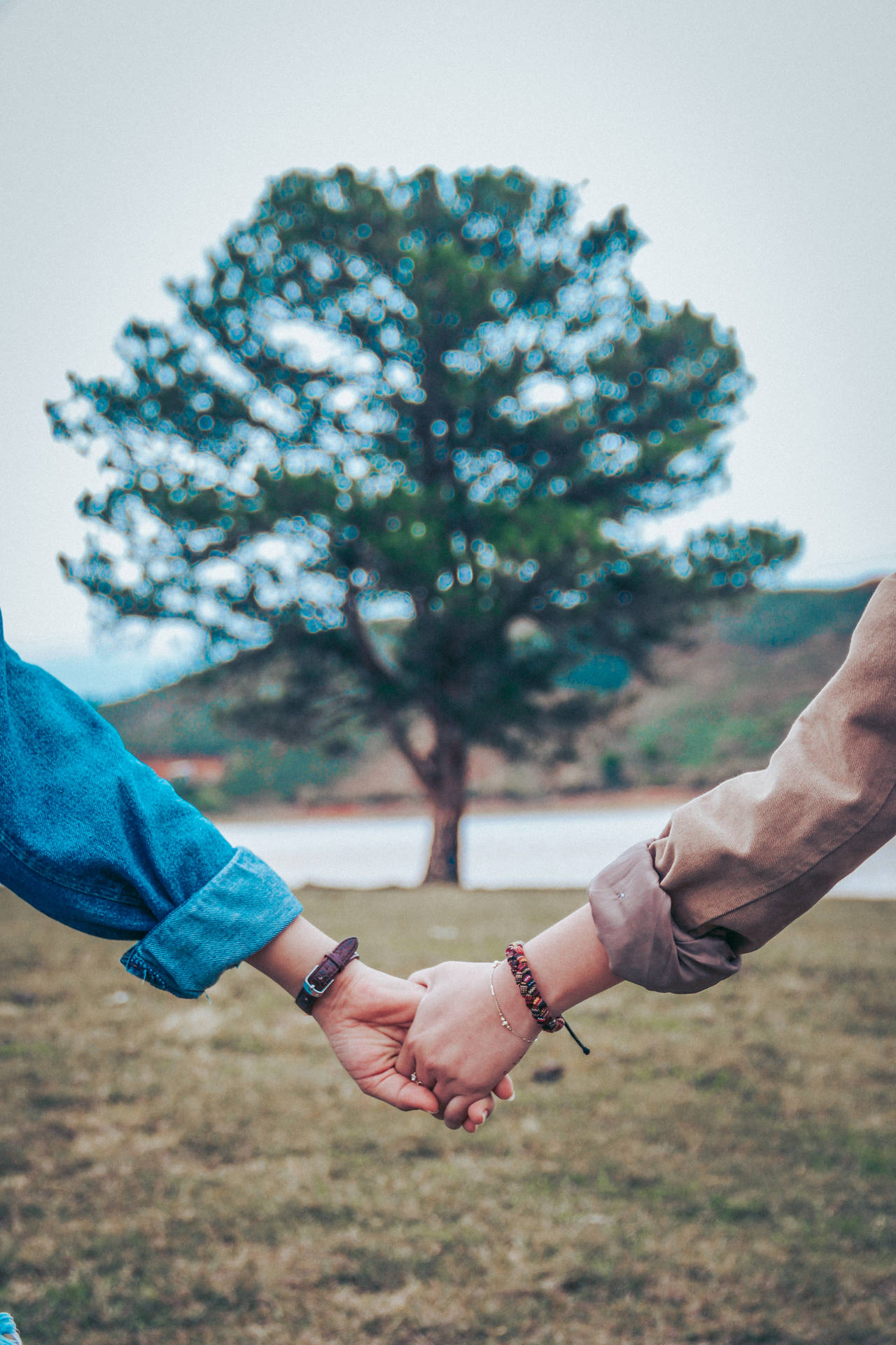 Holding Hands By The Tree In Bokeh Effect Background