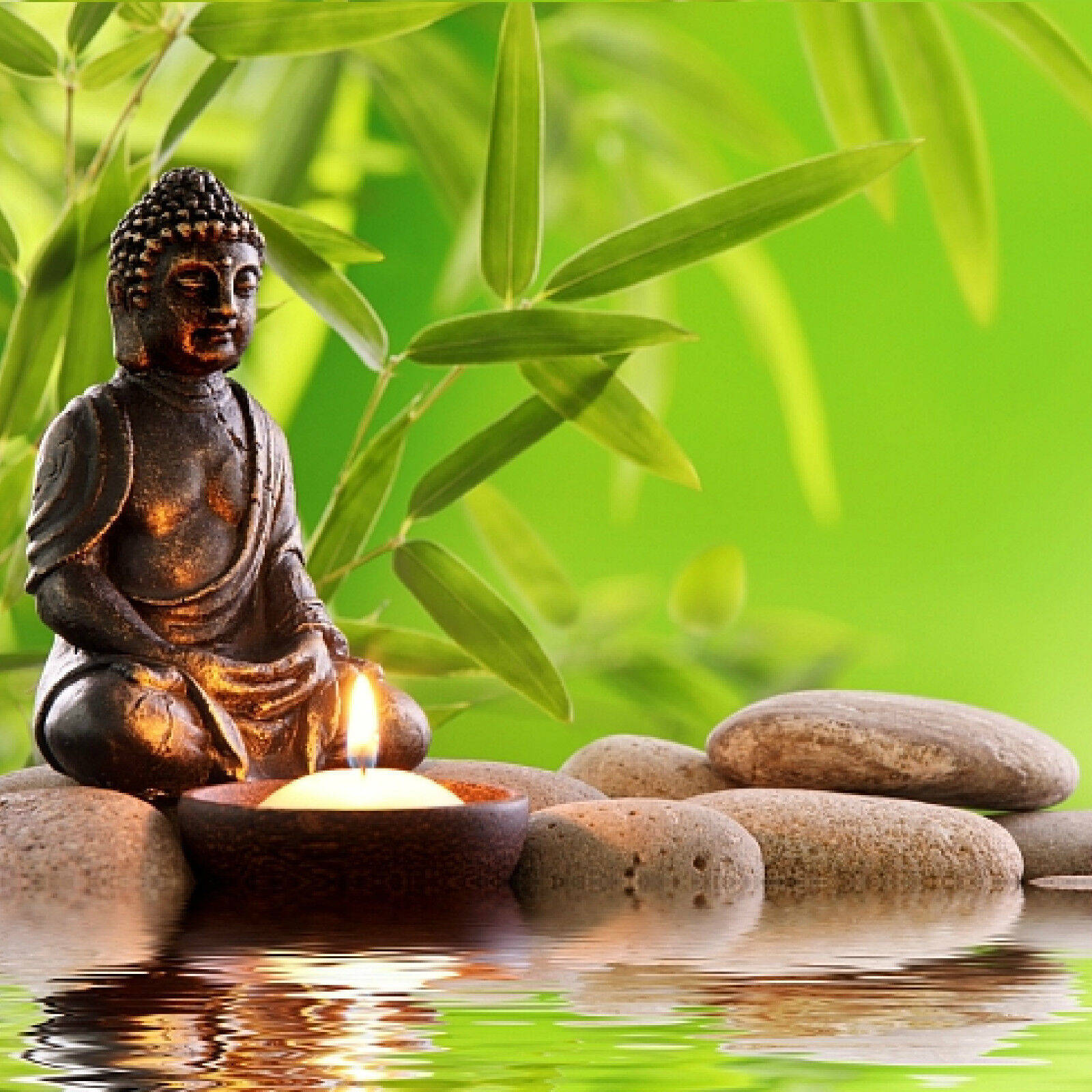 Holistic Buddha Altar Background