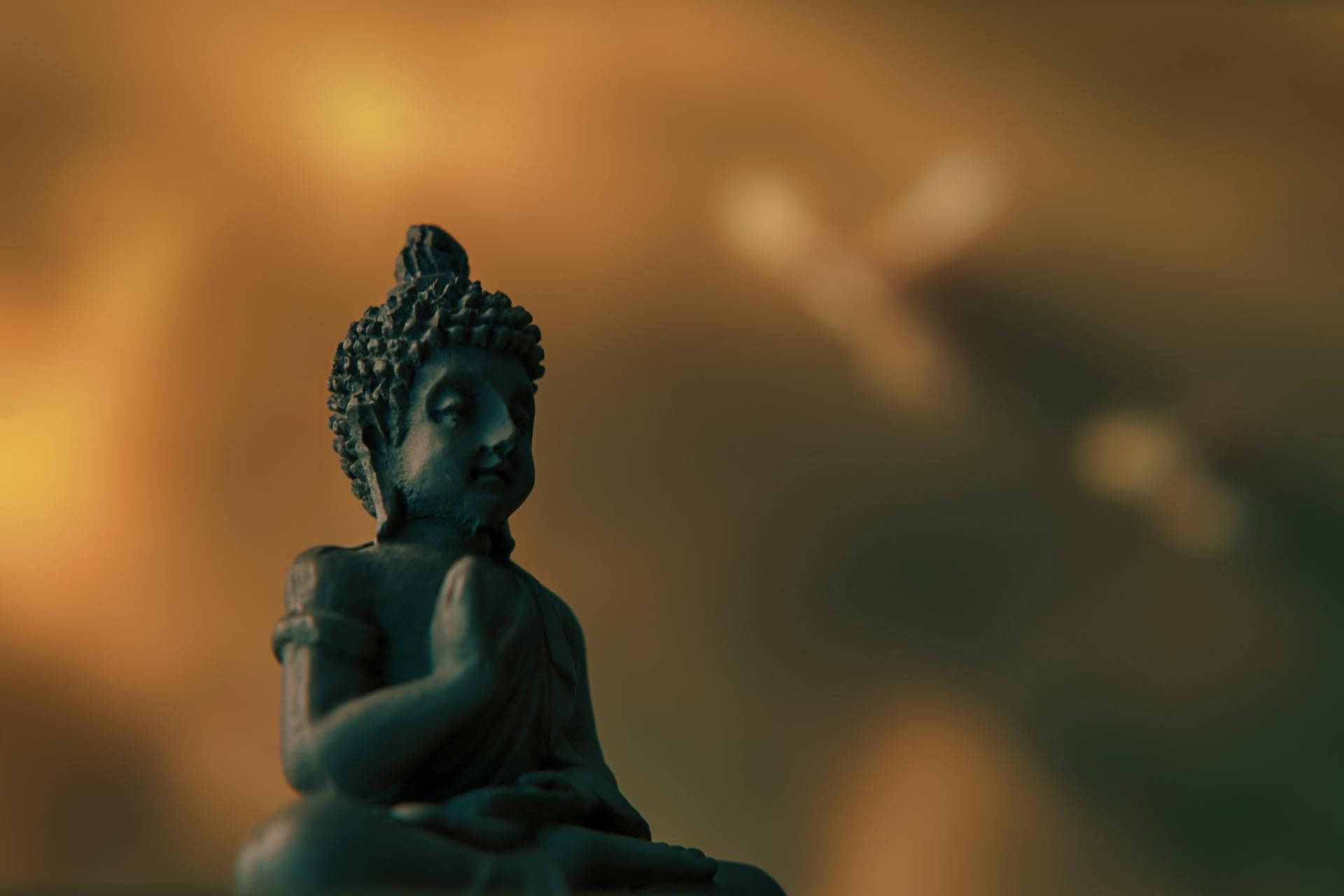 Holistic Buddha Statue Background