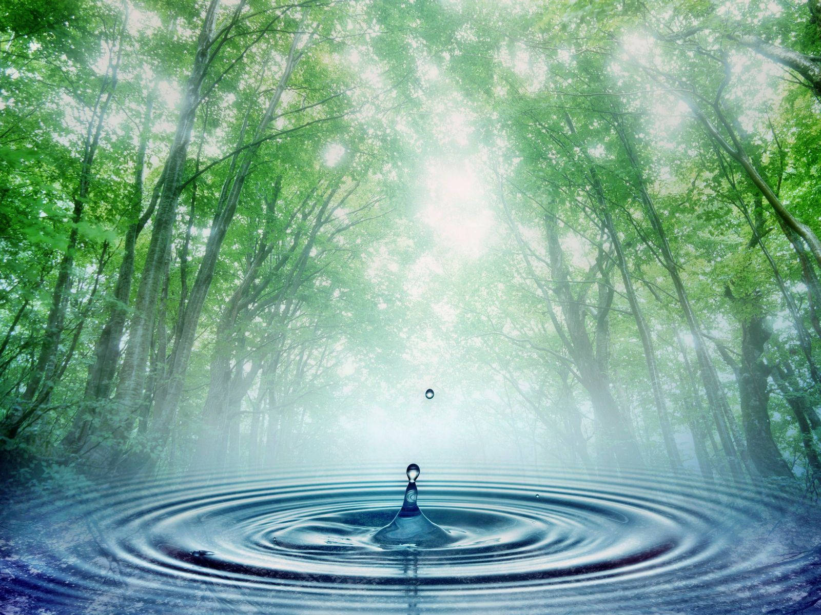 Holistic Nature And Water Background