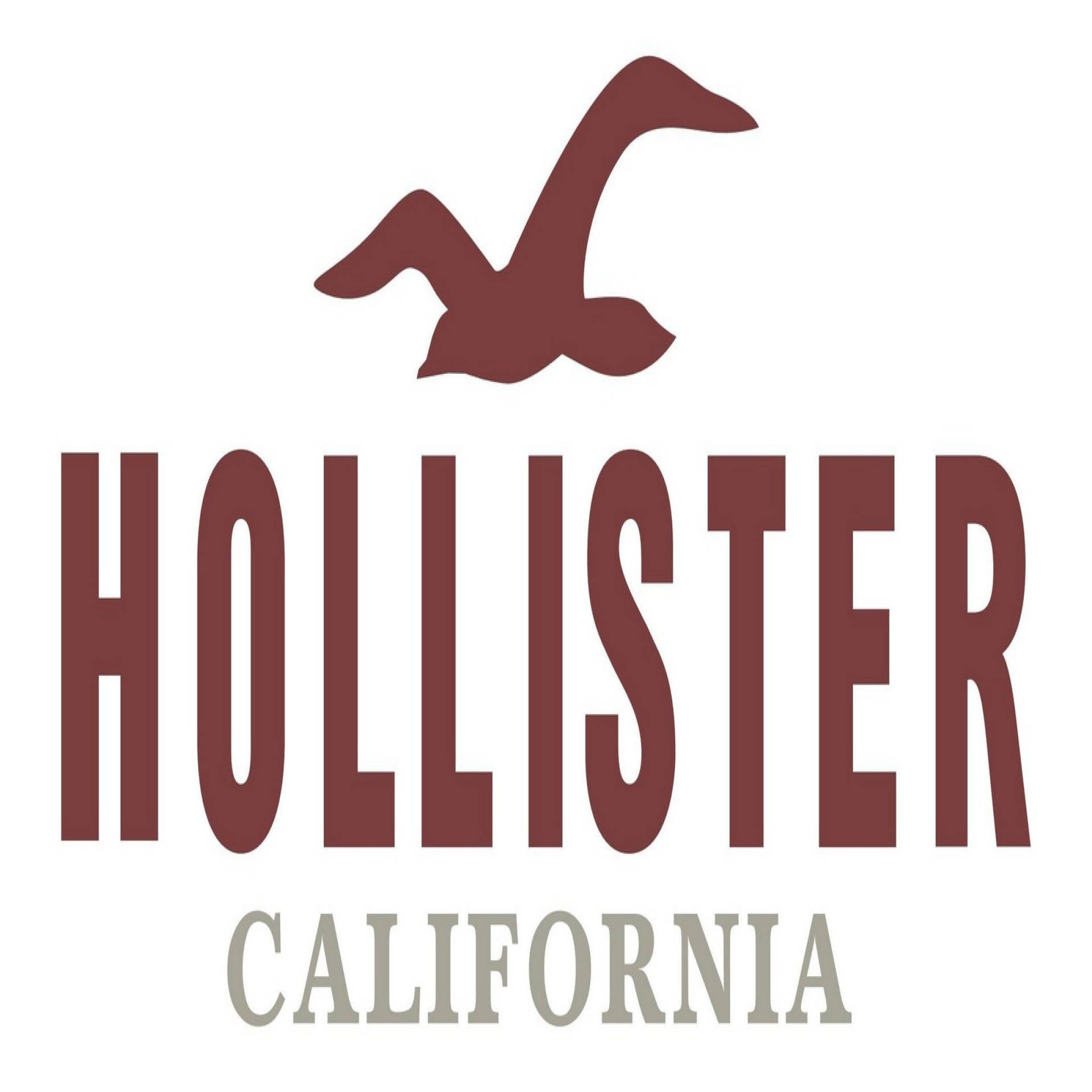 Hollister Classic Logo Background
