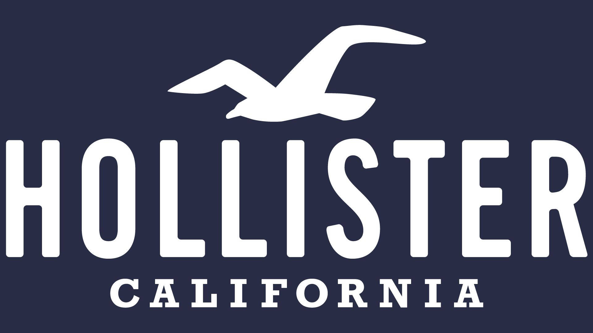 Hollister Classic Logo With Seagull