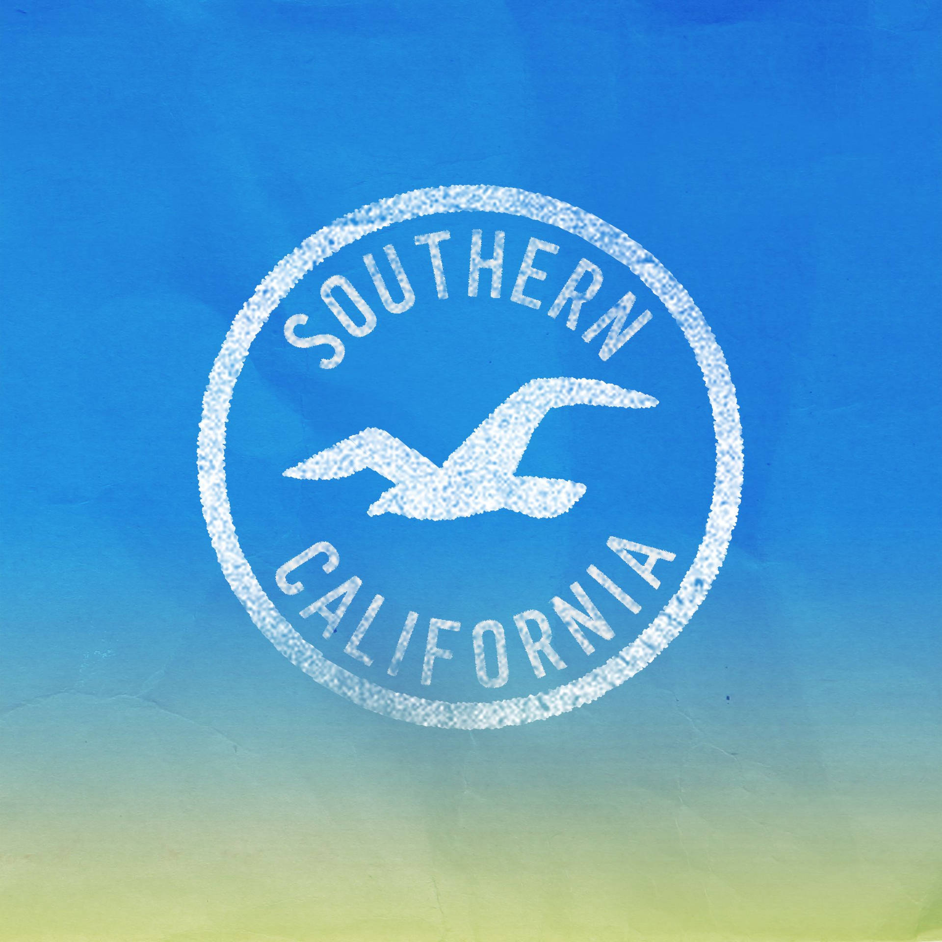 Hollister Seagull Logo In White Background