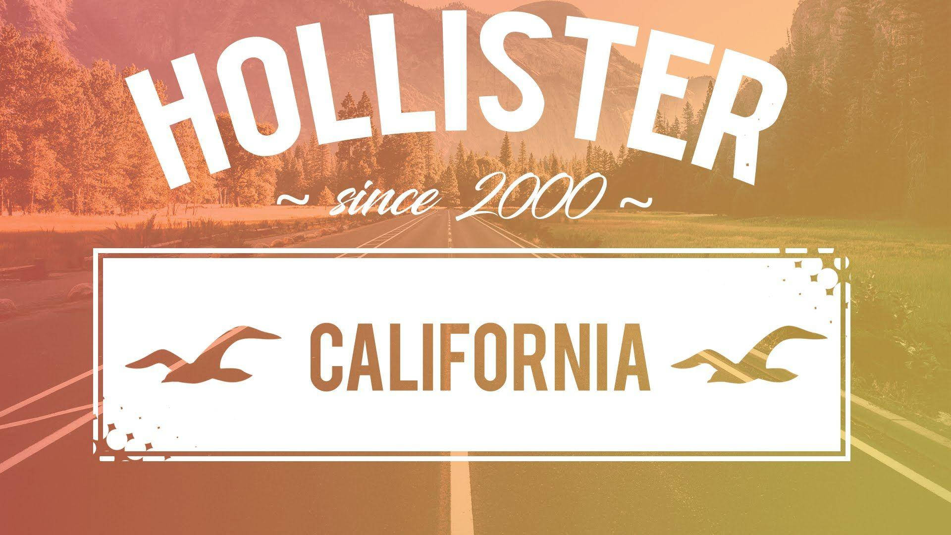 Hollister Since 2000 California Background