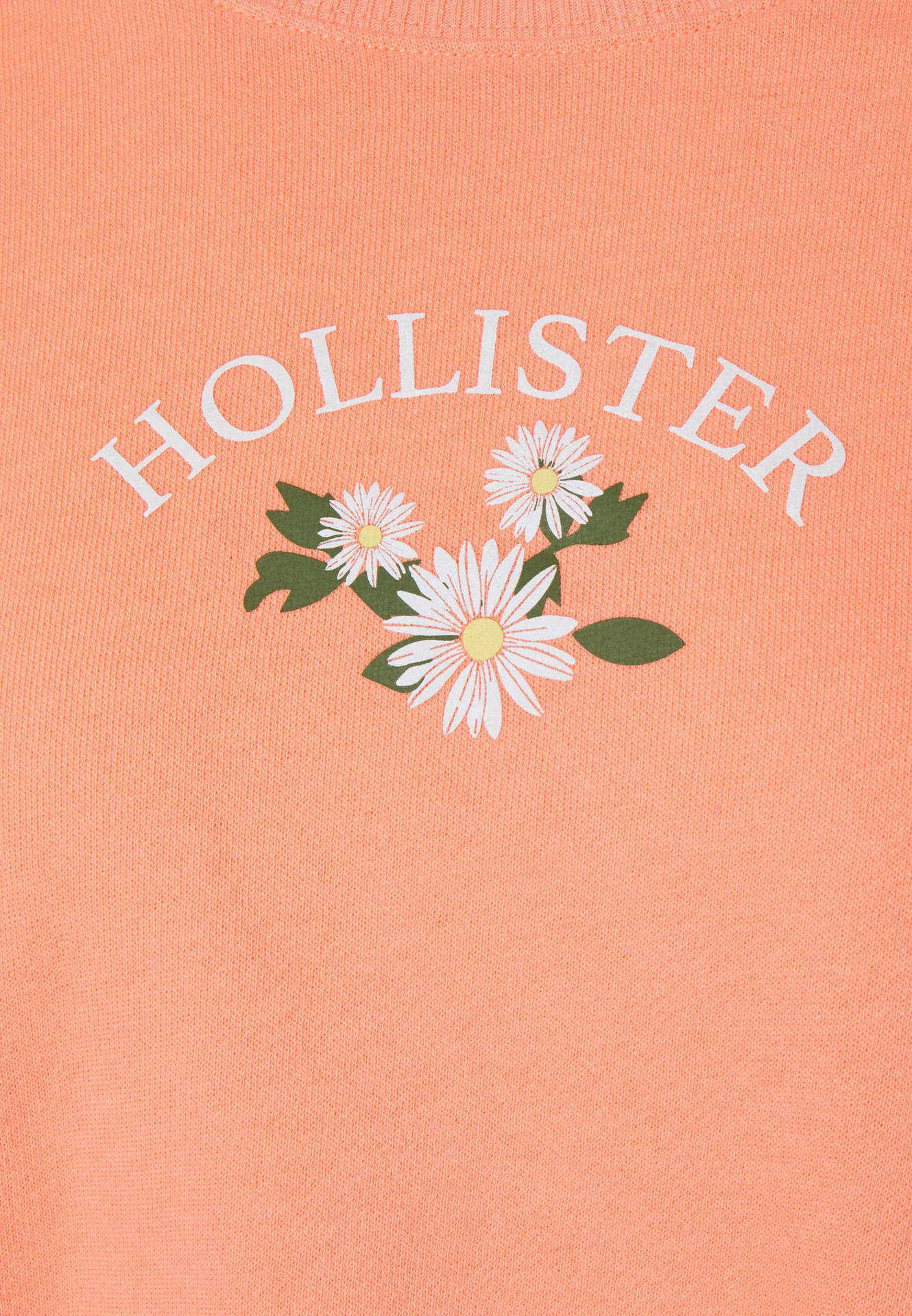 Hollister Three White Flower Illustration Background