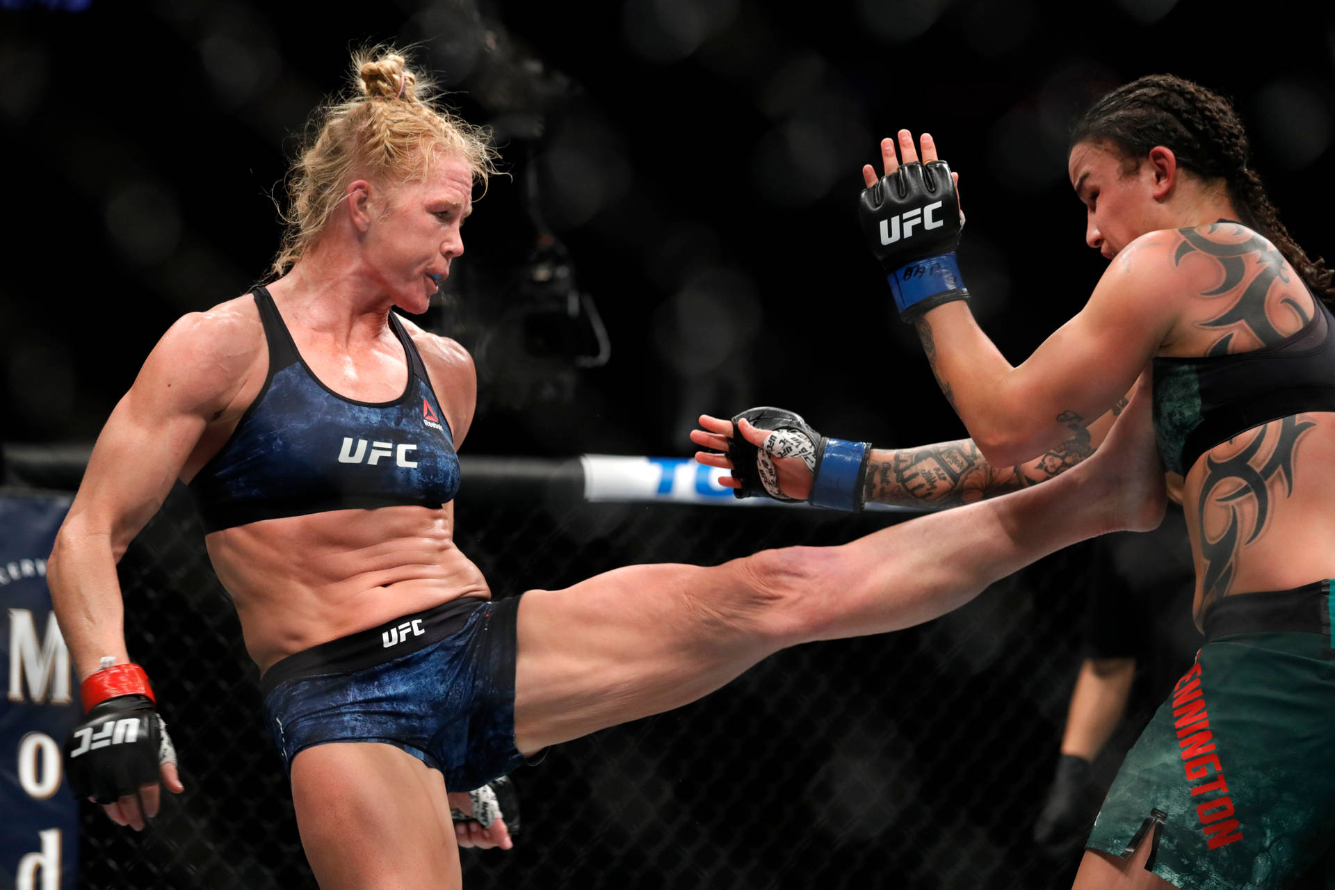 Holly Holm Kick