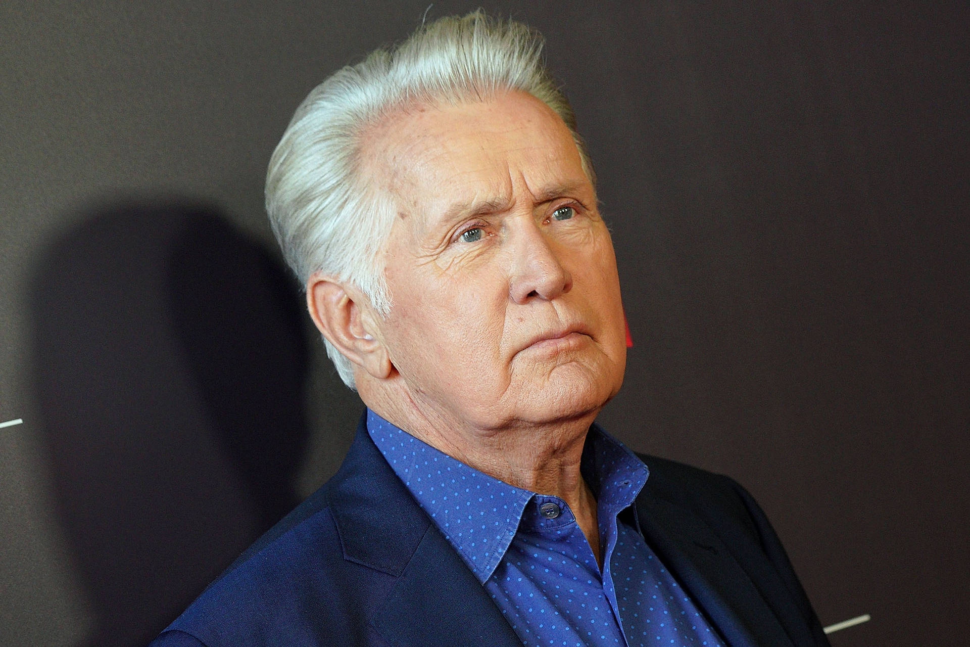 Hollywood Actor Martin Sheen Netflix Fysee