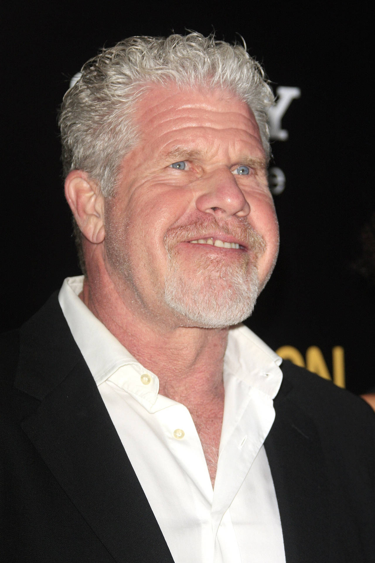 Hollywood Actor Ron Perlman