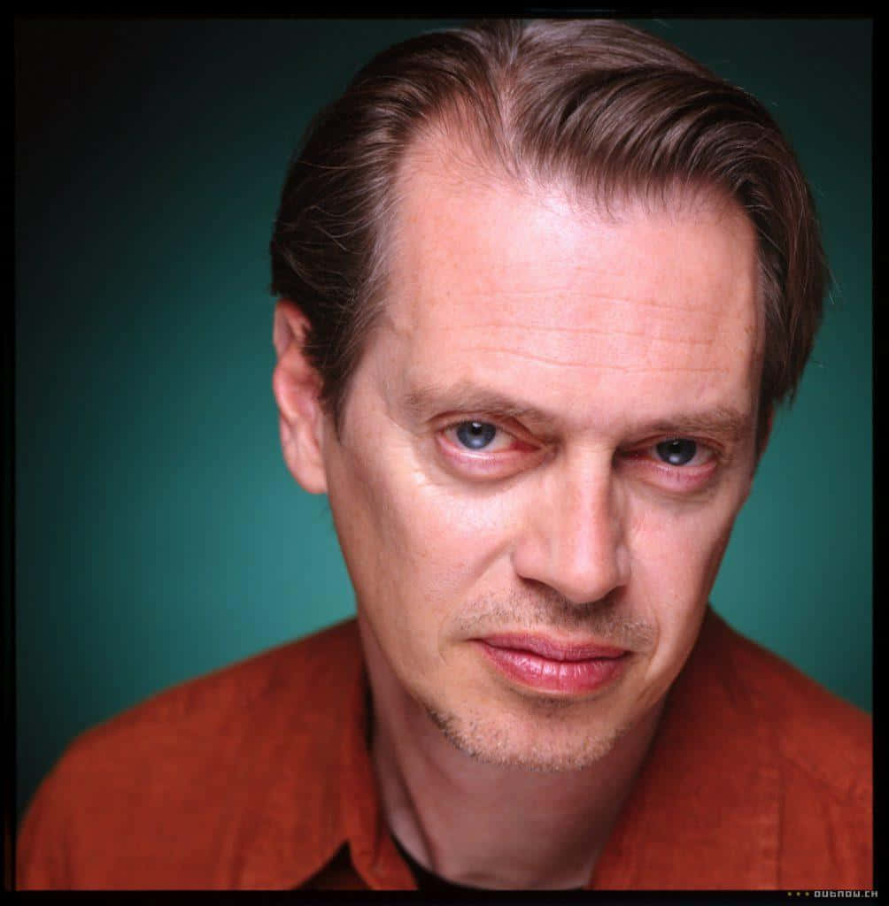 Hollywood Actor Steve Buscemi Stare Background