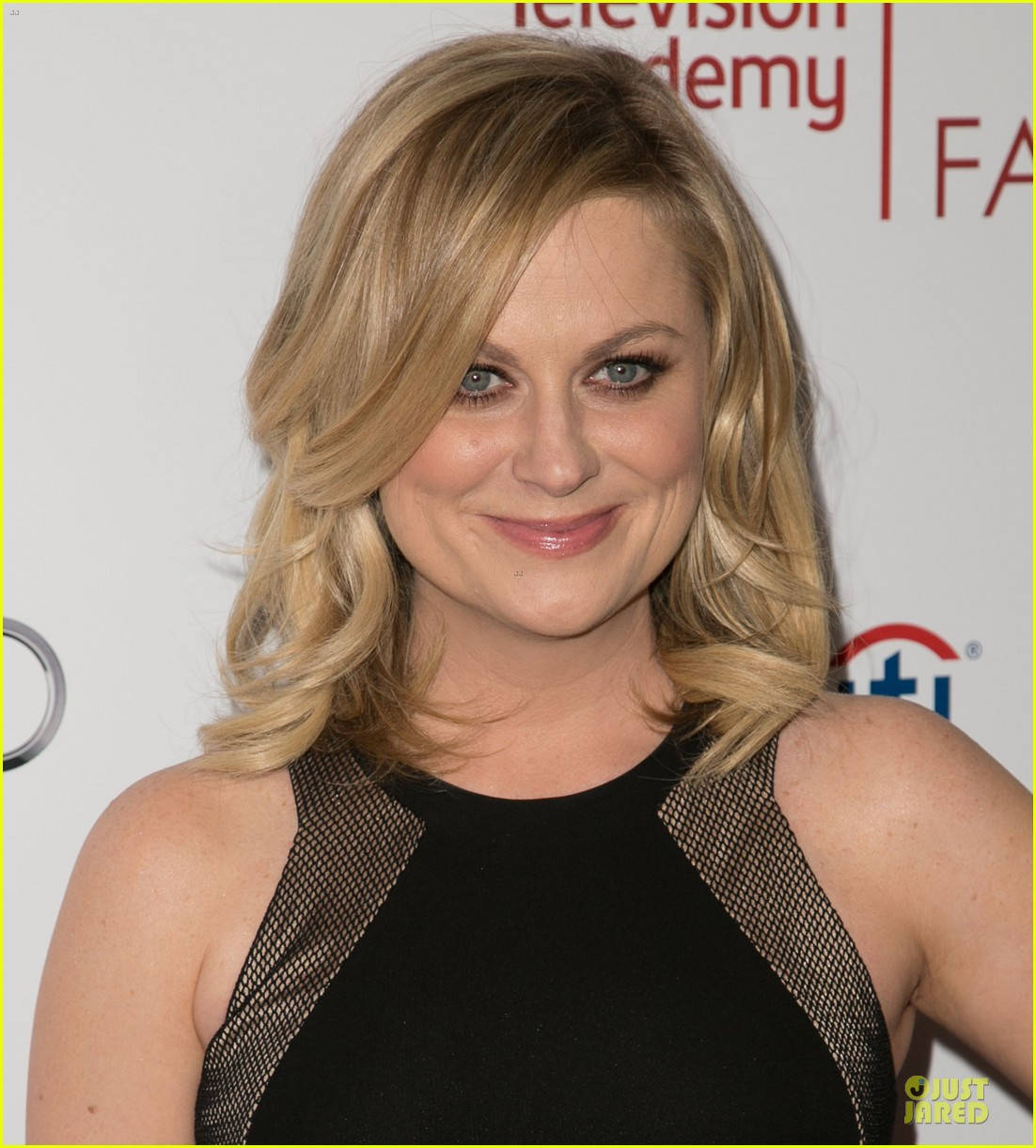Hollywood Actress Comedian Amy Poehler Background