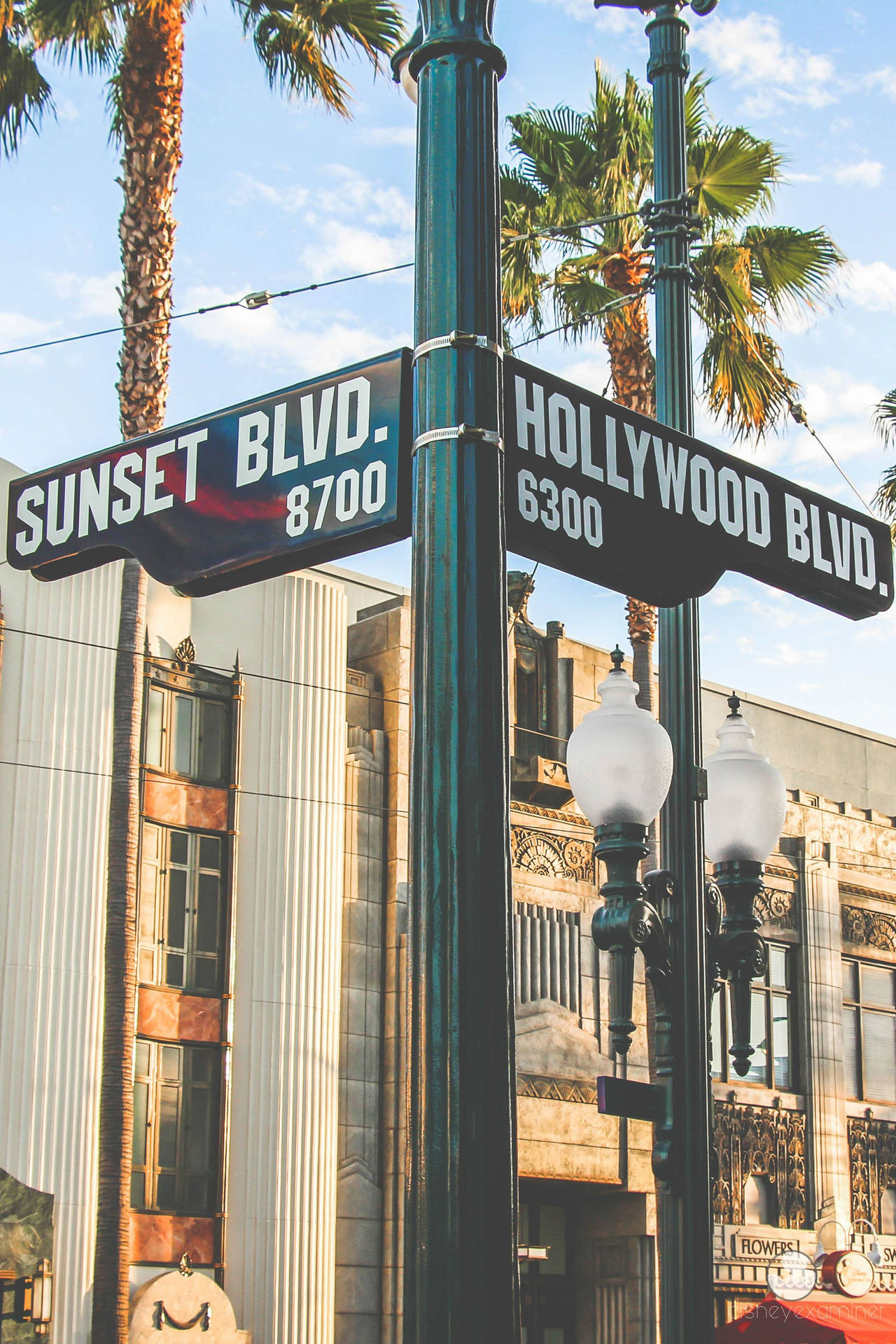 Hollywood Boulevard Street Sign Background