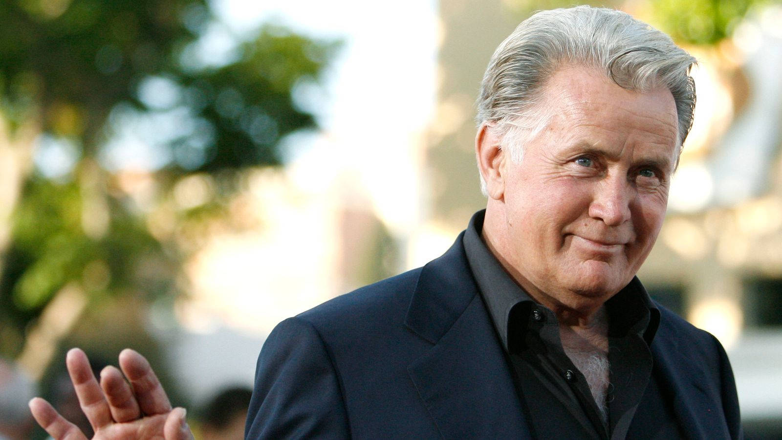 Hollywood Celebrity Martin Sheen Los Angeles Film Festival