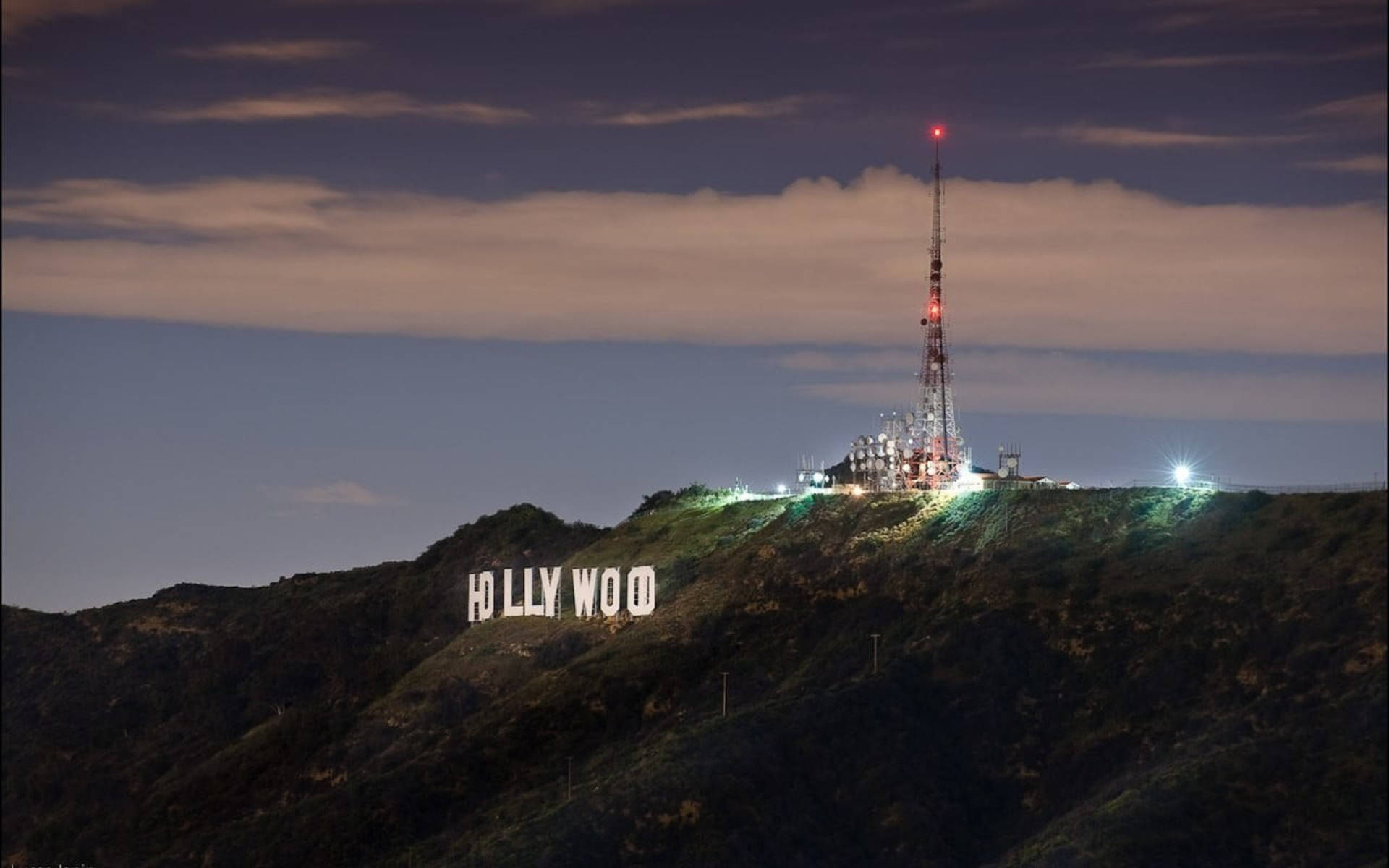 Hollywood La Night View Background