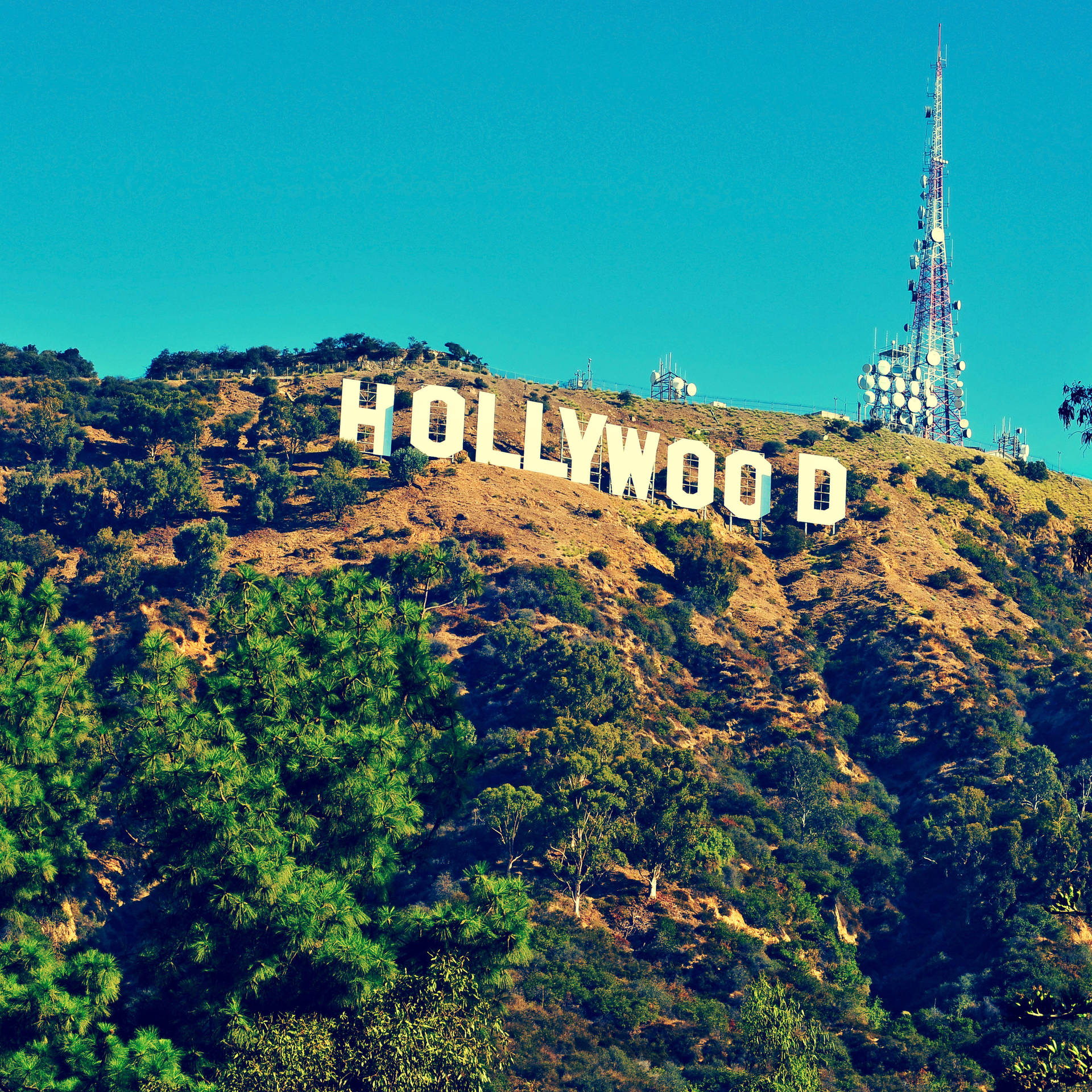 Hollywood Sign Aesthetic Square