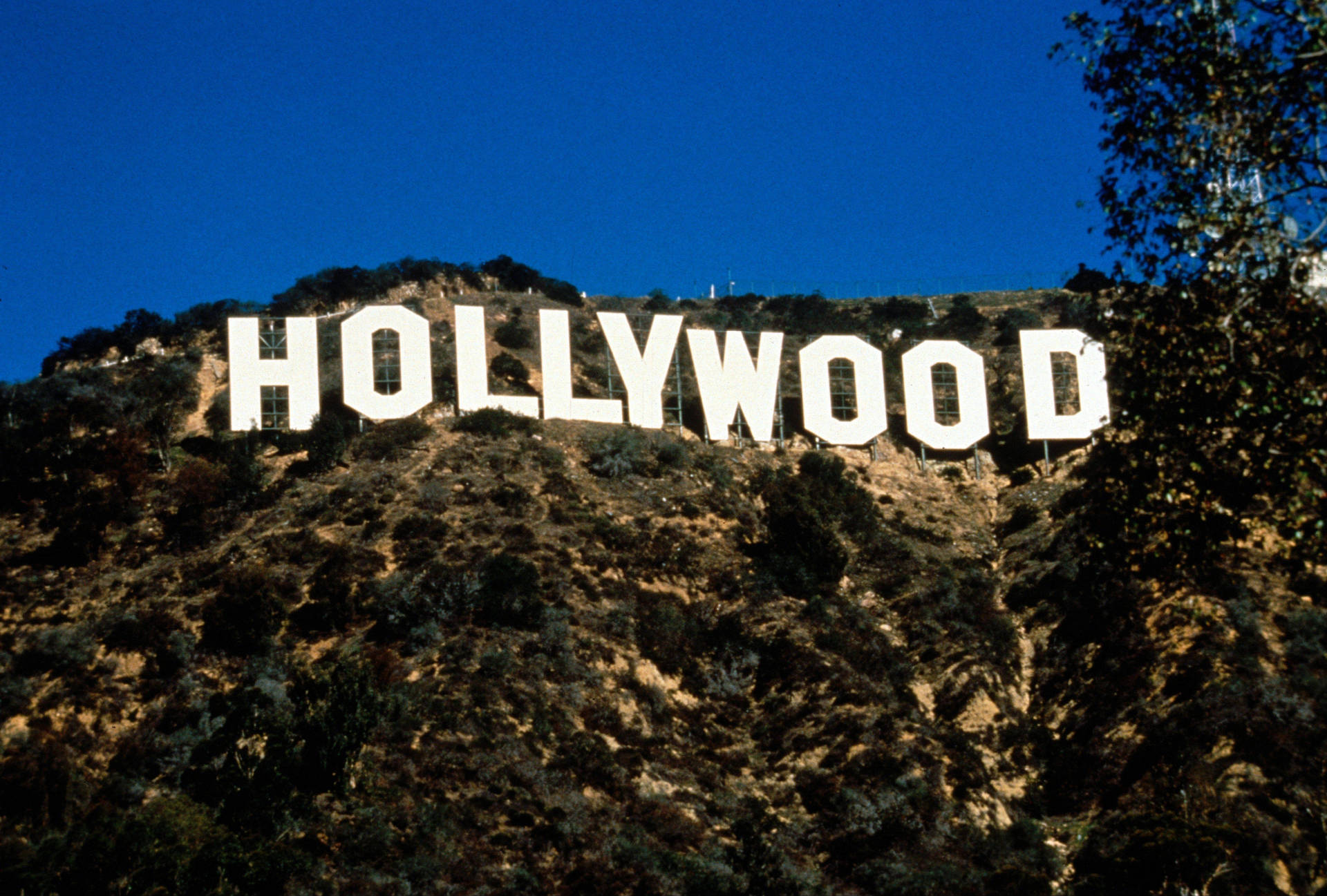 Hollywood Sign In Full View