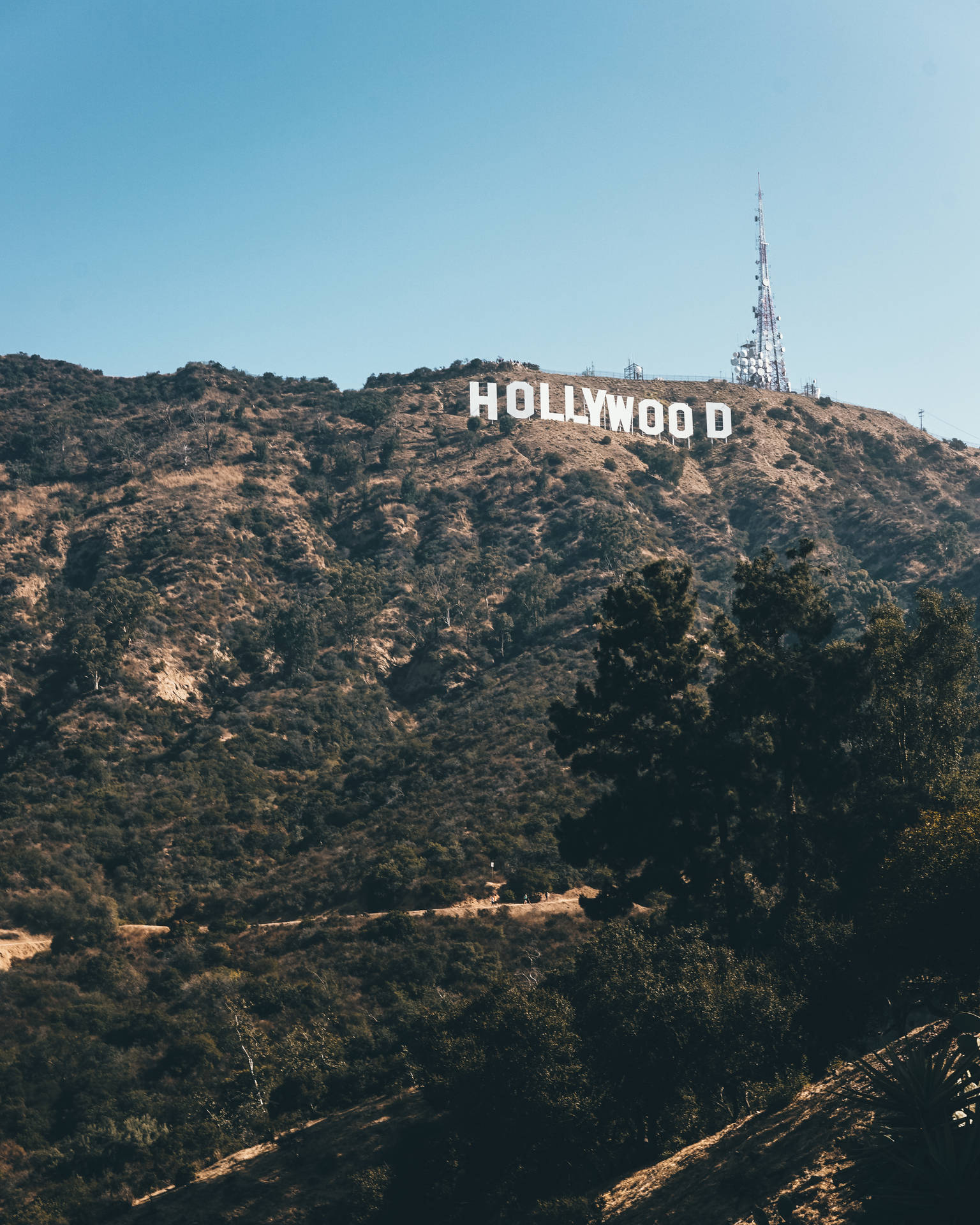 Hollywood Sign In Los Angeles Background