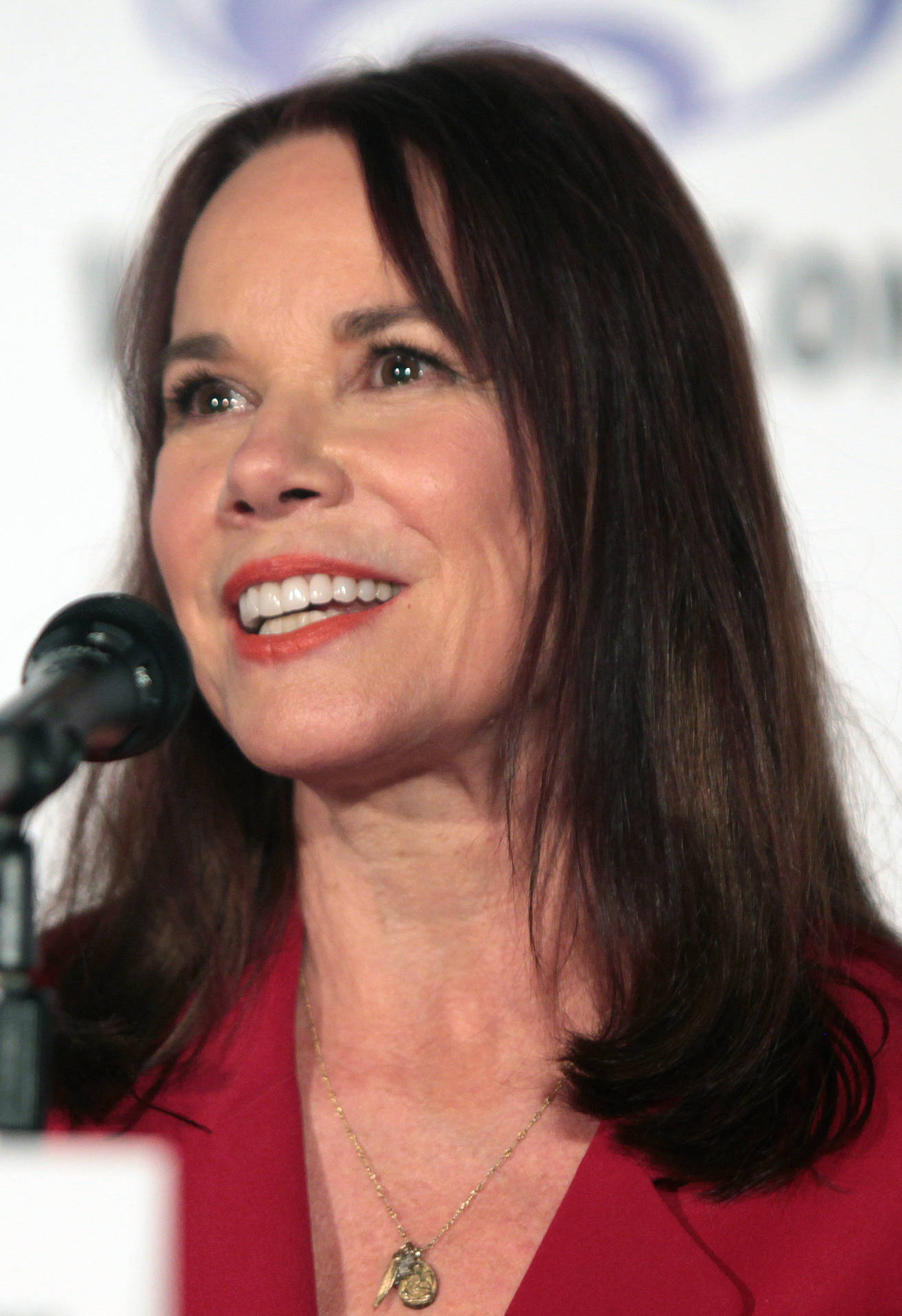 Hollywood Star Barbara Hershey Speaking Background