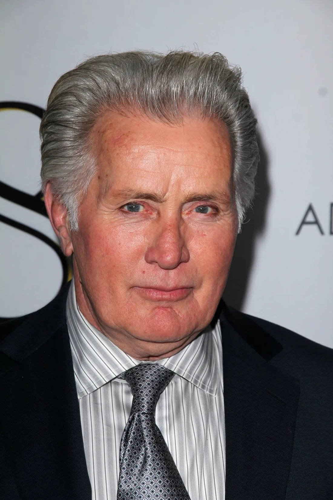 Hollywood Star Martin Sheen 8 Premiere Close Up Shot