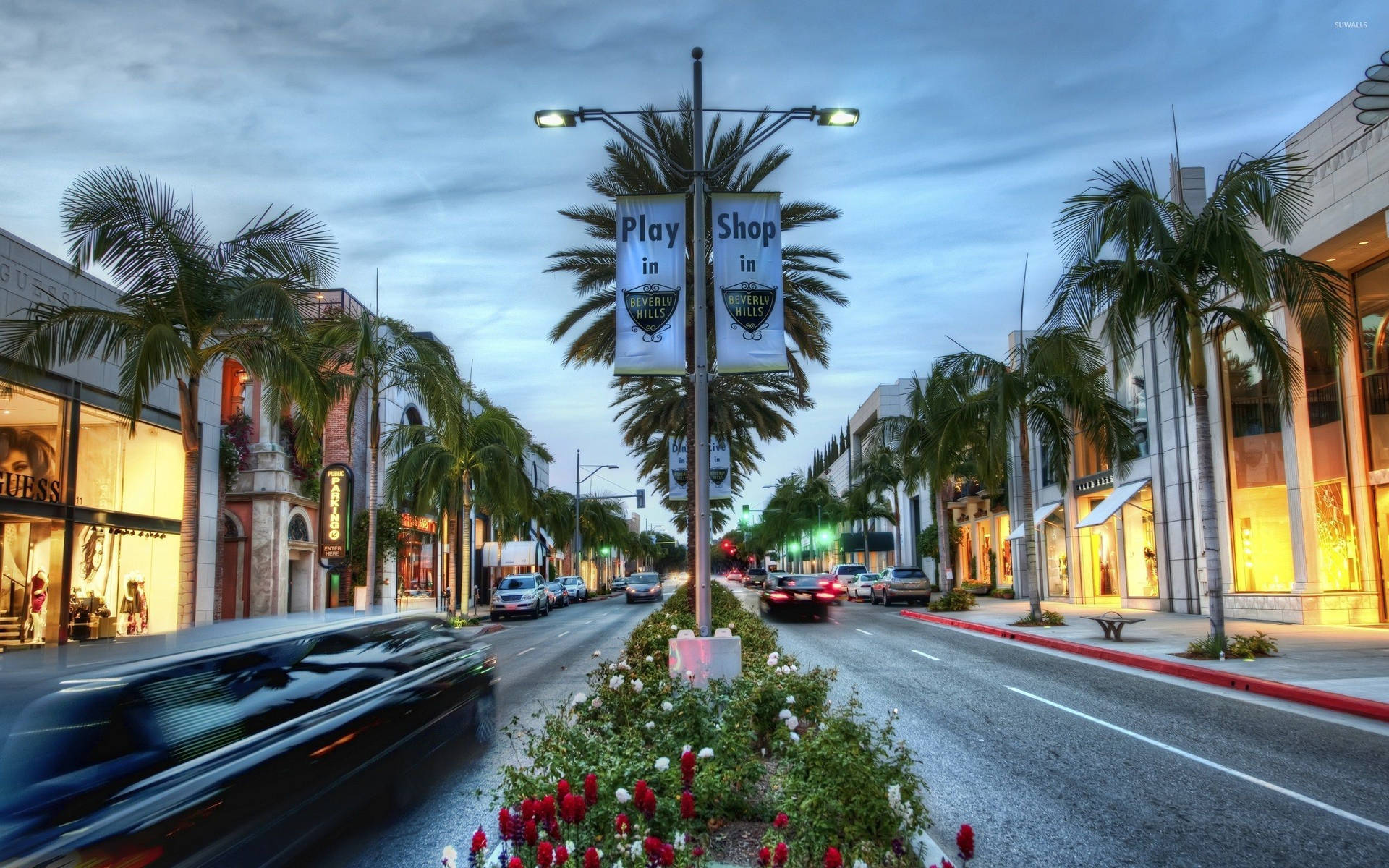 Hollywood Street Road Planters Background