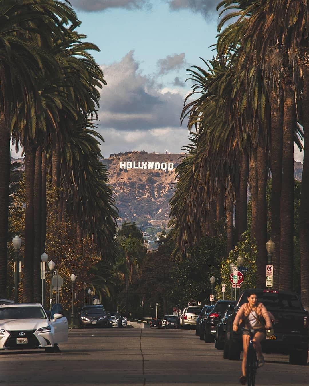 Hollywood Street Signage View Background