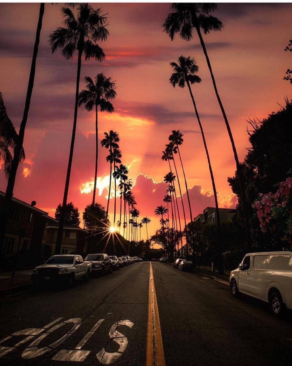 Hollywood Street Sunset Background