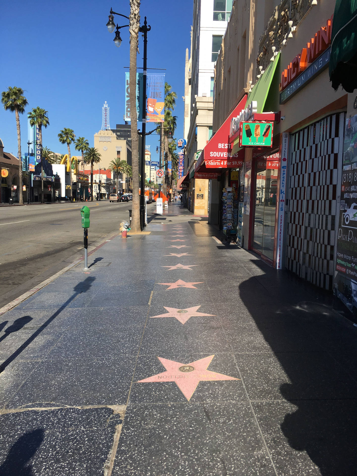 Hollywood Street Walk Of Fame Background