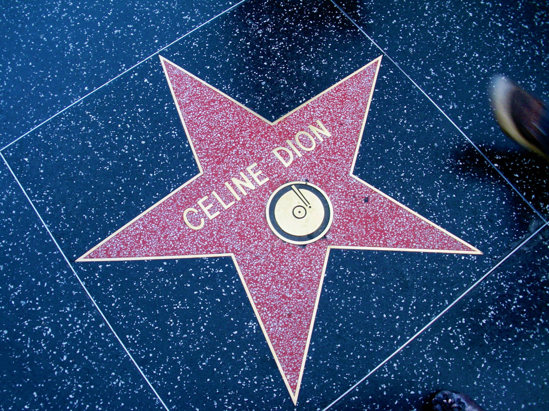 Hollywood Walk Of Fame Celine Dion Background