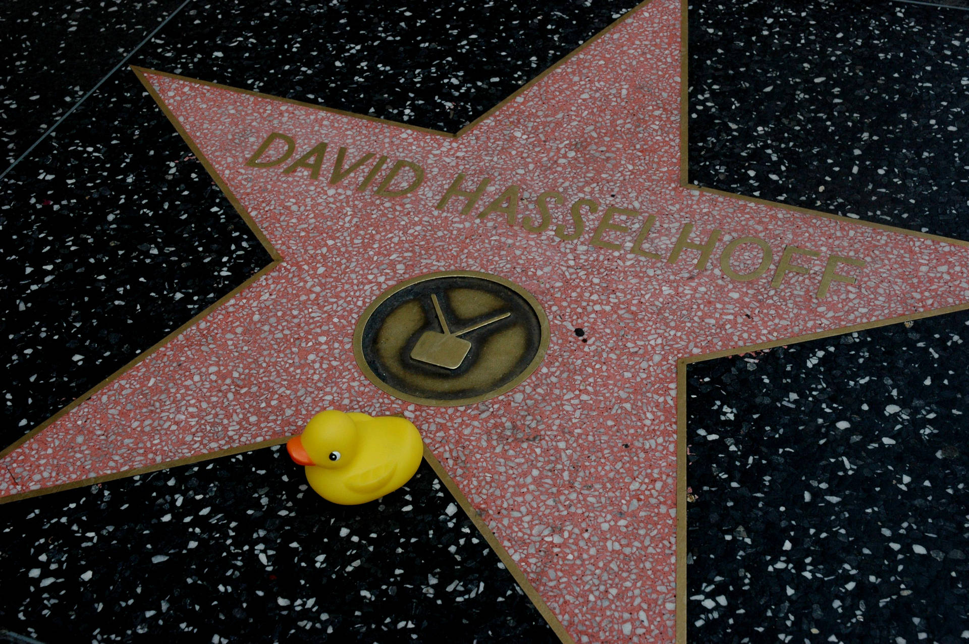 Hollywood Walk Of Fame David Hasselhoff Background