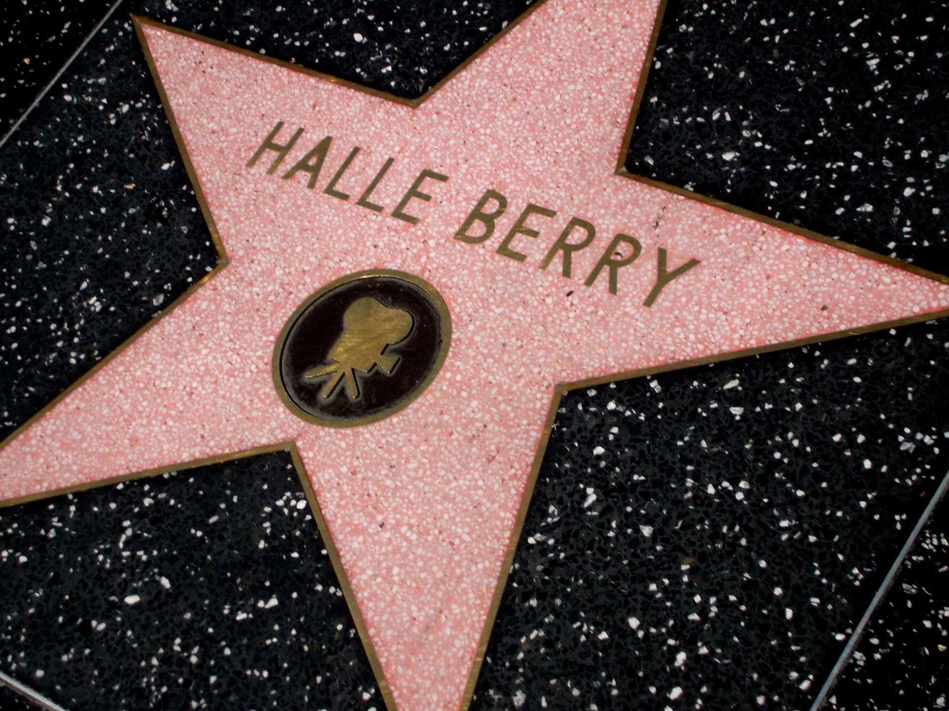 Hollywood Walk Of Fame Halle Berry Background