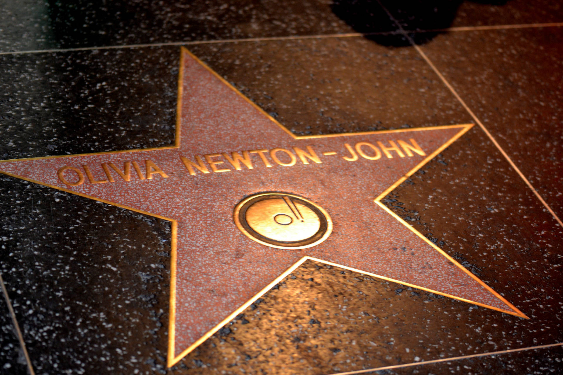 Hollywood Walk Of Fame Olivia John Background