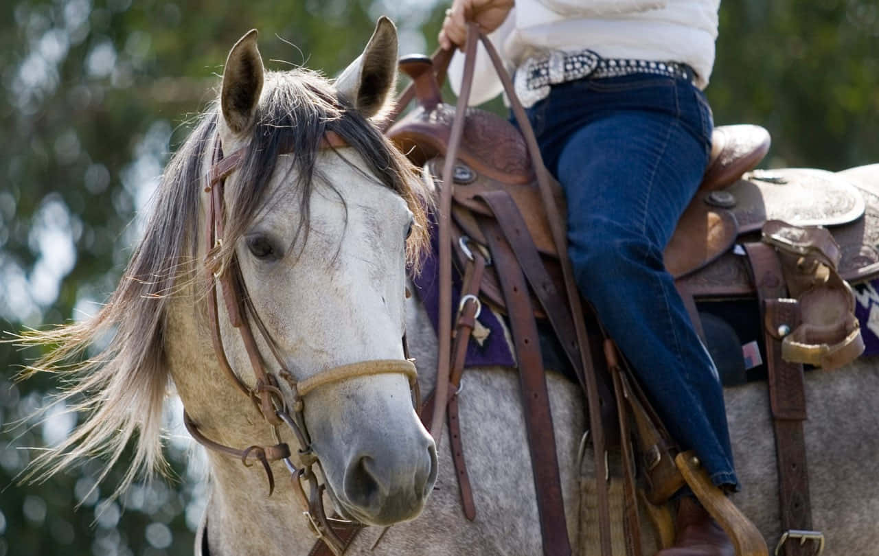 Home Is Where The Ranch Is