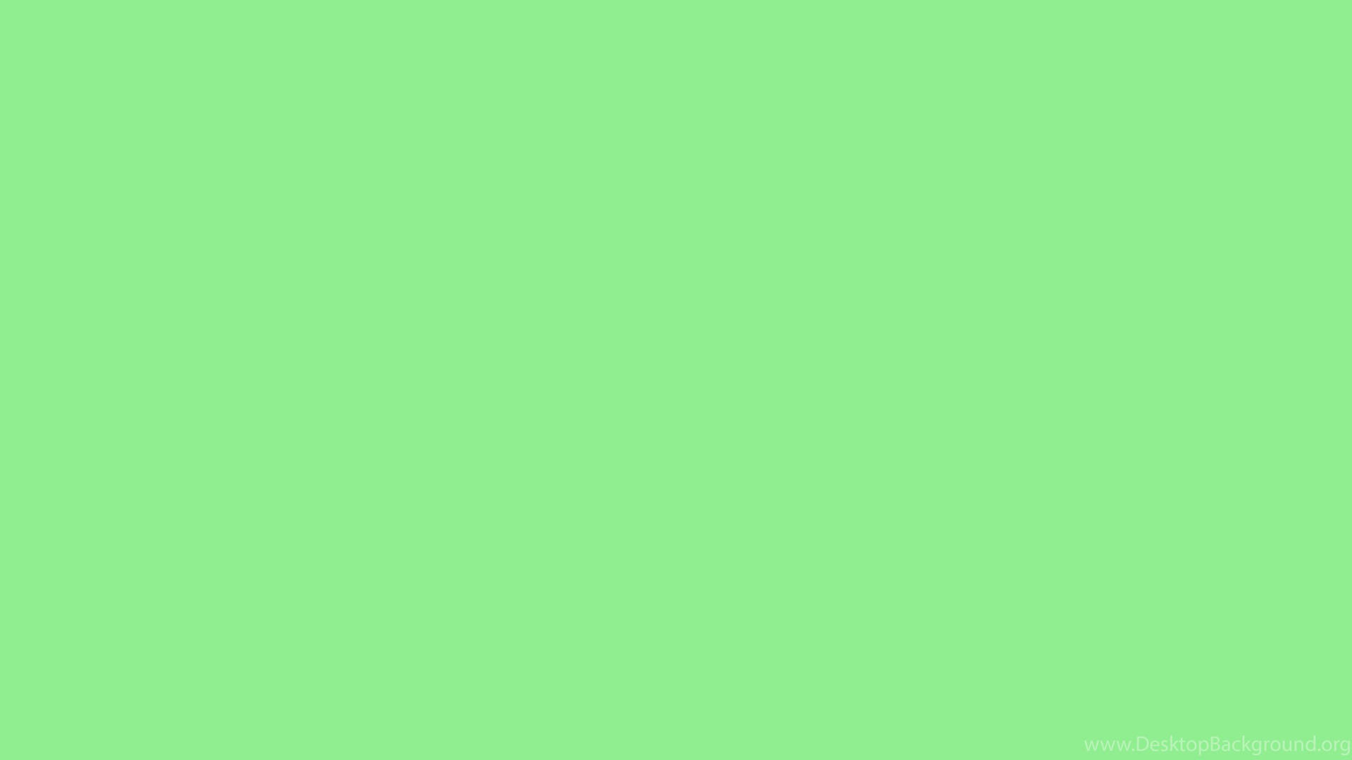 Homely Light Green Plain