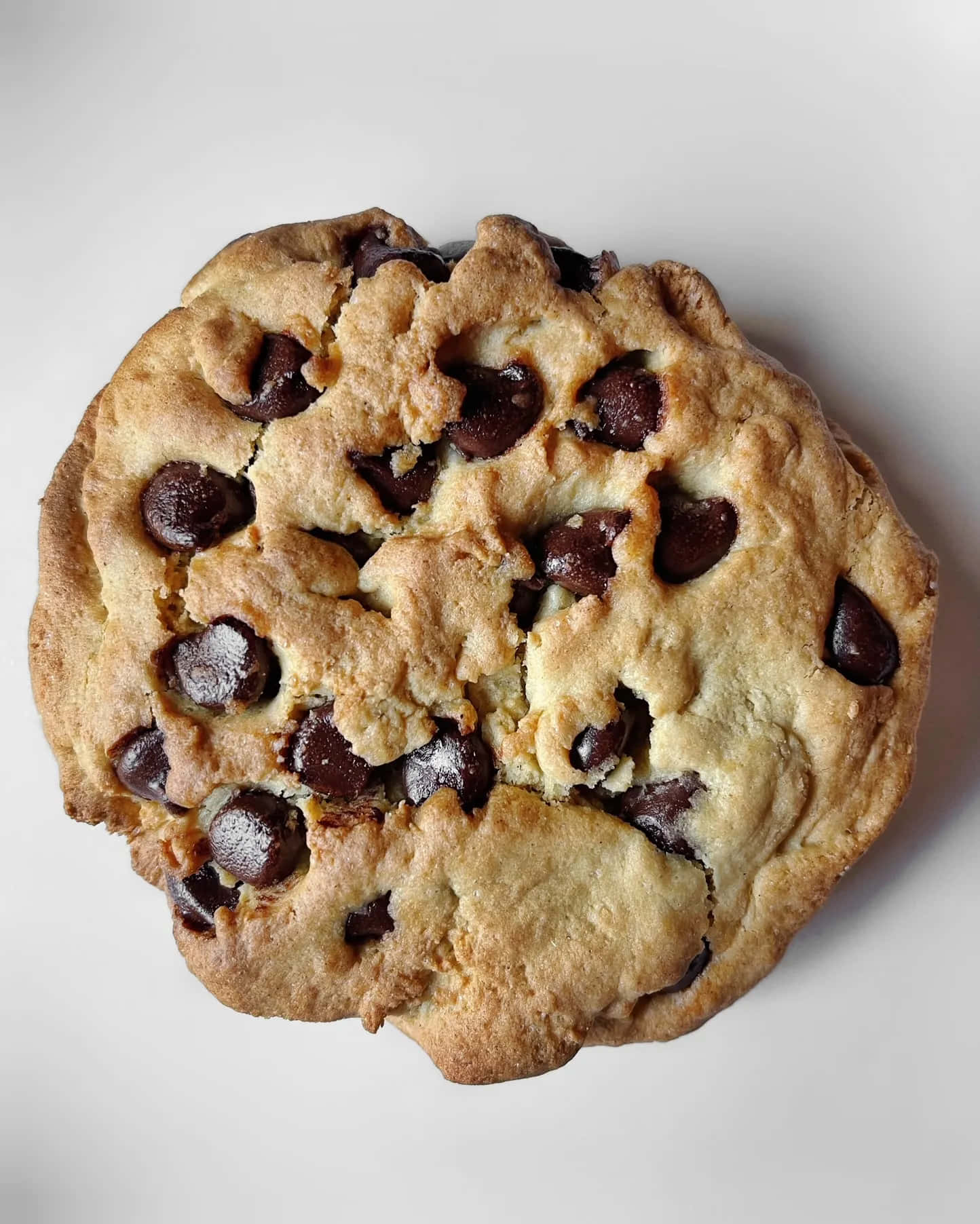 Homemade Chocolate Chip Cookie Top View Background