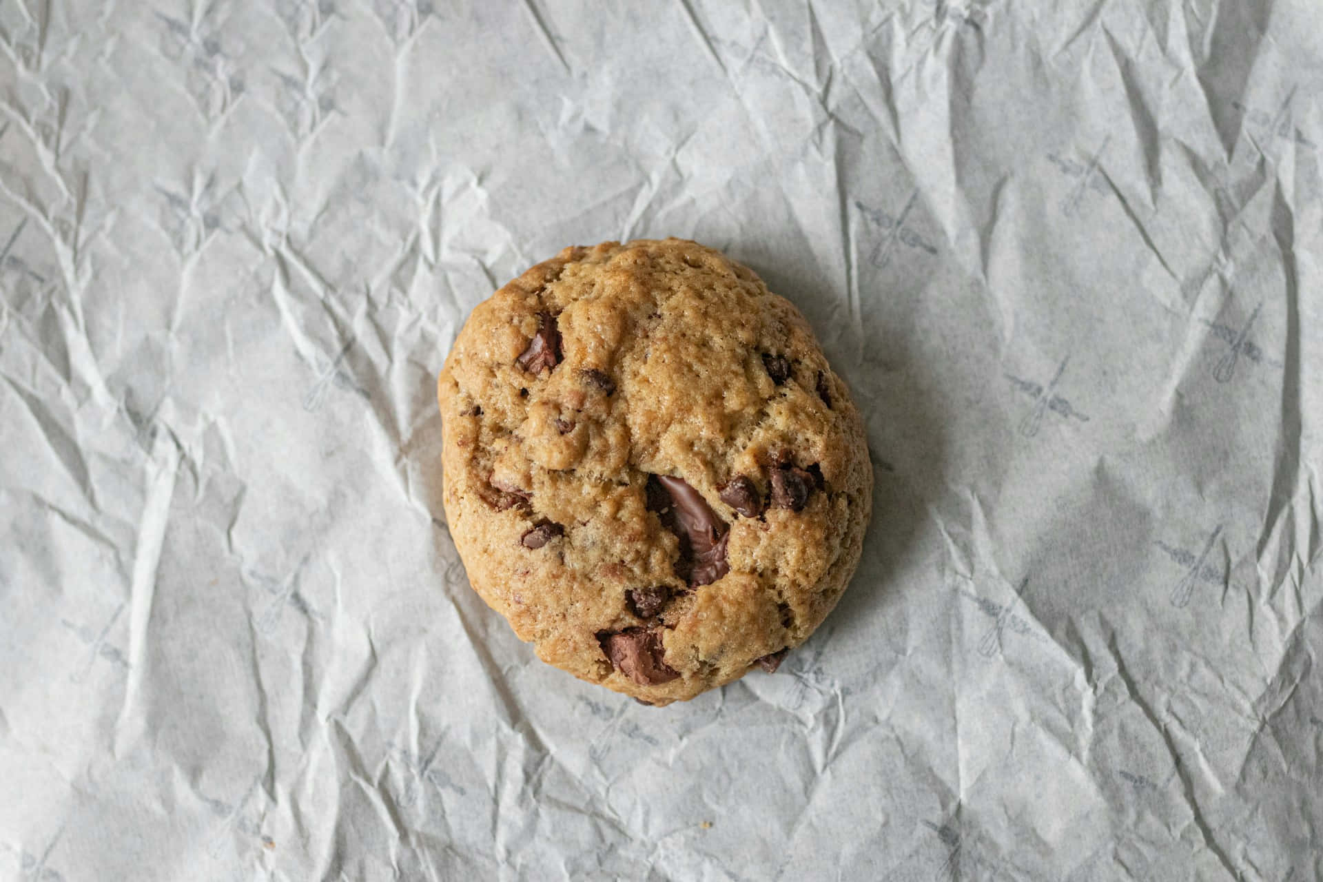 Homemade Chocolate Chip Cookieon Paper Background